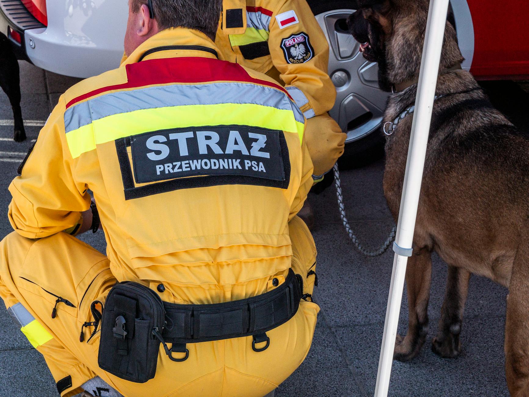 Ratownik w żółtym stroju idzie z wyszkolonym psem ratowniczym